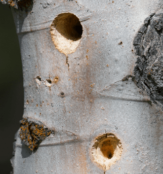 Screen Shot 2017-07-30 at 11.02.34 AM.png