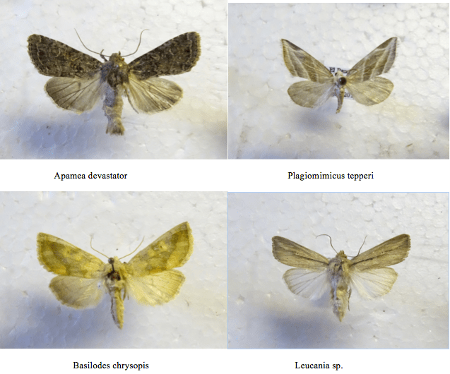 Screen Shot 2017-08-22 at 10.19.55 PM