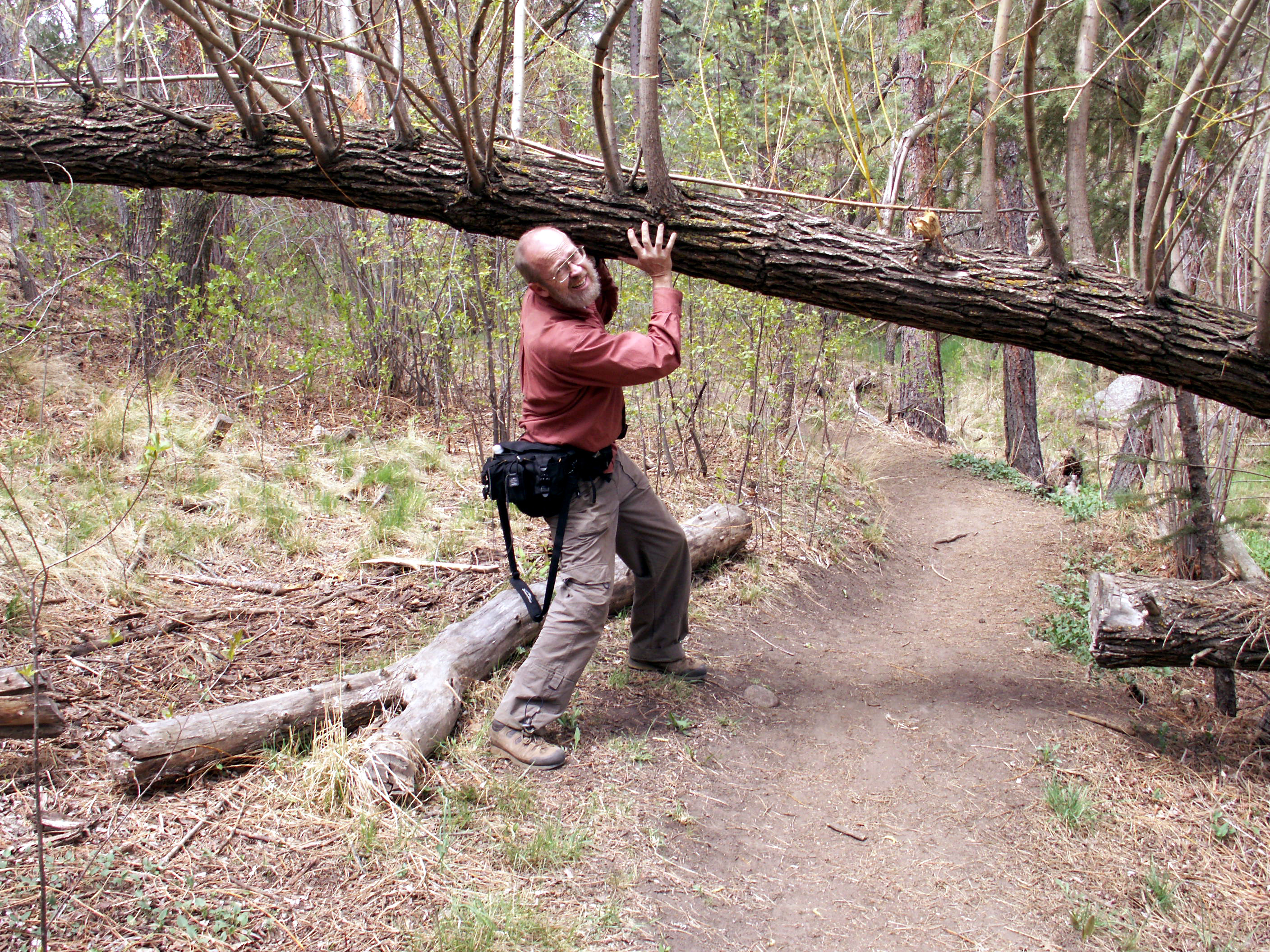 holding up tree.jpeg