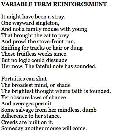 Screen Shot 2018-02-07 at 10.15.17 AM.png