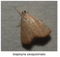 Screen Shot 2019-04-12 at 12.46.12 PM.png