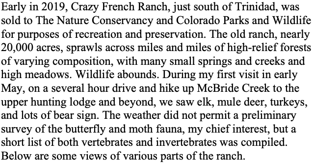 Screen Shot 2019-05-09 at 9.54.28 AM