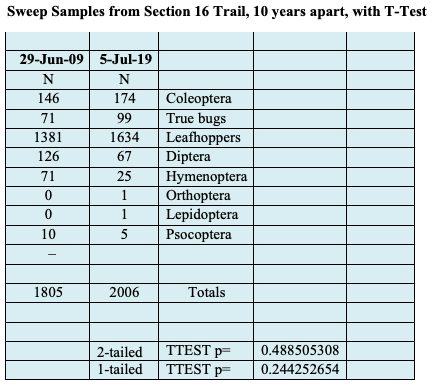 Screen Shot 2019-07-15 at 9.04.59 AM