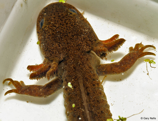 Screen Shot 2019-08-12 at 2.21.10 PM