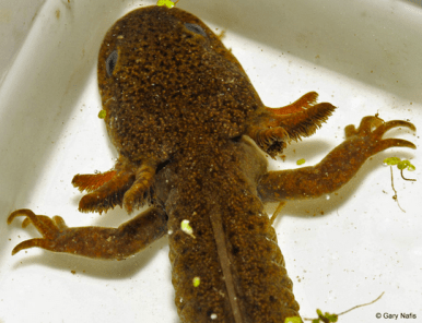 Screen Shot 2019-08-12 at 2.21.10 PM