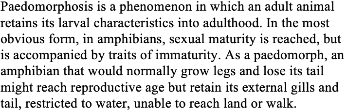 Screen Shot 2019-08-12 at 3.09.50 PM