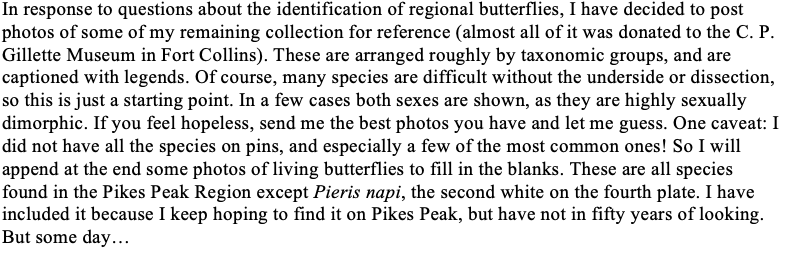 Screen Shot 2019-08-18 at 6.03.57 PM