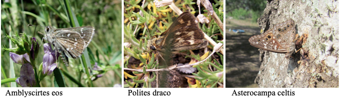 Screen Shot 2019-08-25 at 12.08.18 PM.png