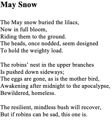 Screen Shot 2019-09-01 at 3.45.09 PM