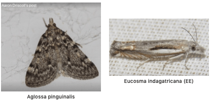 Screen Shot 2020-02-14 at 10.50.17 AM.png