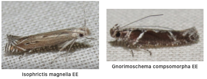 Screen Shot 2020-02-14 at 10.50.29 AM.png