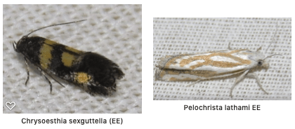 Screen Shot 2020-02-14 at 10.50.59 AM.png