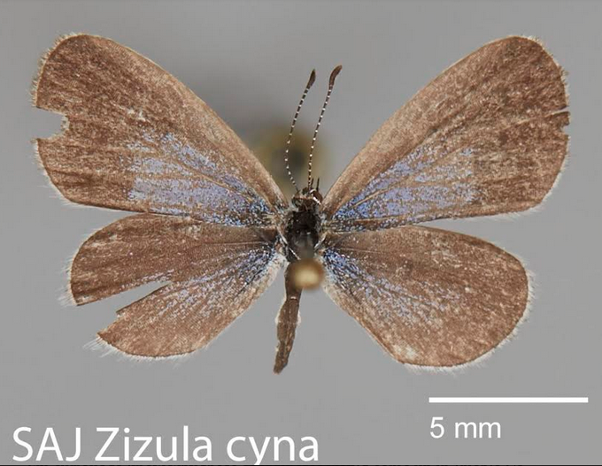 Screen Shot 2020-05-08 at 2.07.56 PM