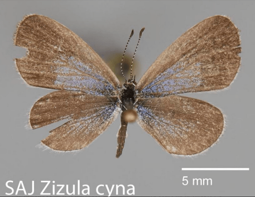 Screen Shot 2020-05-08 at 2.07.56 PM